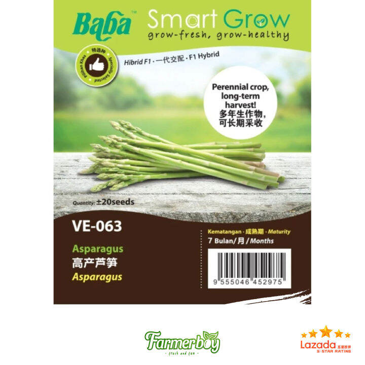 Vegetable Seed Biji Benih BABA VE 063 F1 ASPARAGUS SEEDS 高产芦笋 Lazada