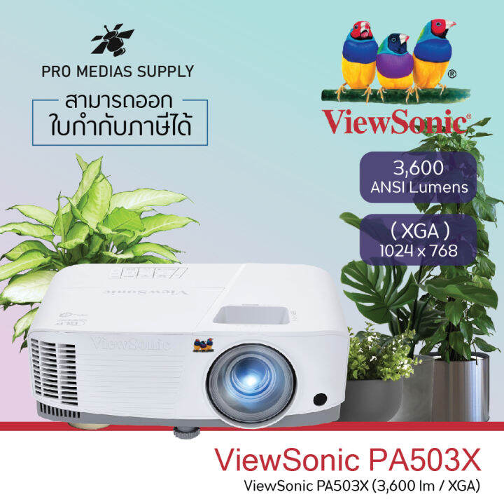 Projector Viewsonic Pa X Lumens Xga Business