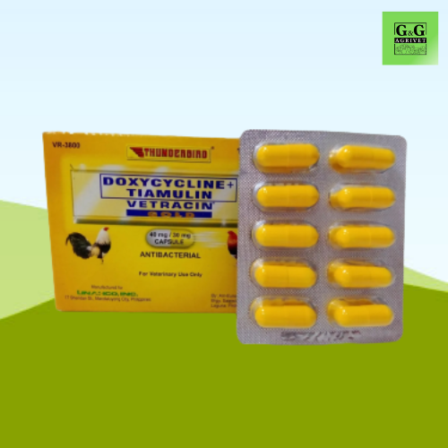 G G Agrivet Capsules Thunderbird Vetracin Gold For Gamefowl Rooster