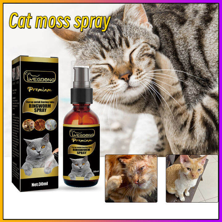 Ml Pet Skin Treatment Spray For Cat Medicine For Skin Diseases Cat