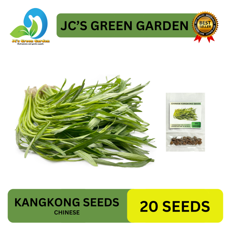 Value Pack Seeds Chinese Kangkong Seeds For Planting Easy To Grow