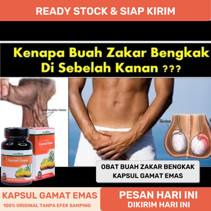 Obat Buah Zakar Bengkak Obat Testis Besar Sebelah Kanan Kiri Sakit