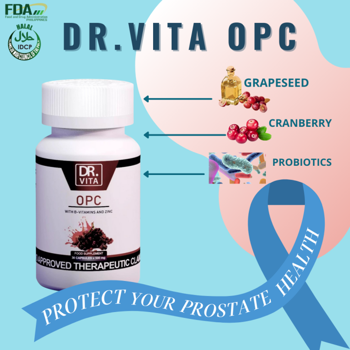 DR VITA OPC W B VITAMIN AND ZINC I 30 CAPSULES X 500 MG Lazada PH