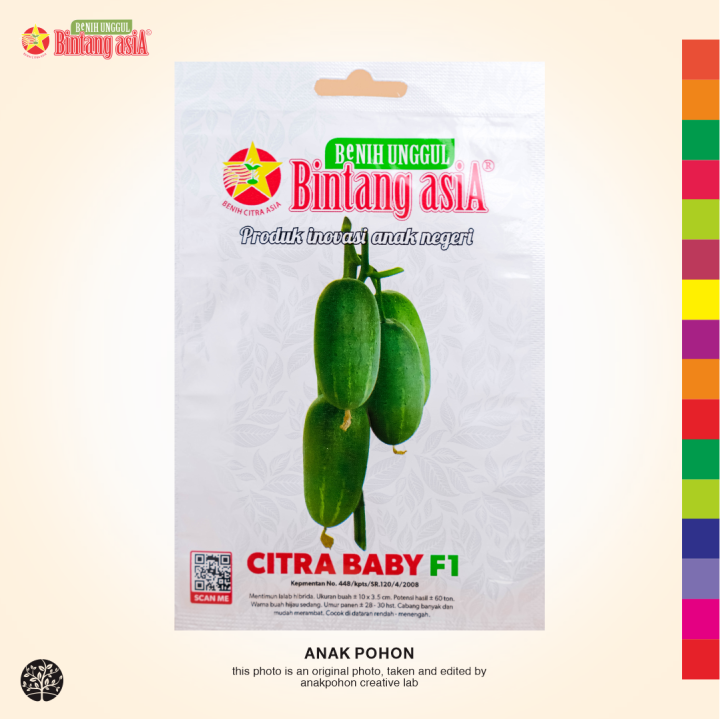 1 PACK Benih Mentimun Lalab CITRA BABY F1 Hibrida Timun Lalapan Seeds