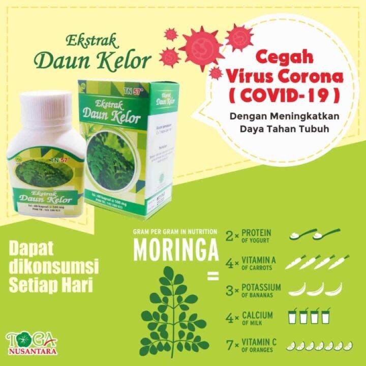 Kapsul Ekstrak Daun Kelor Toga Nusantara Original Pro Moringa Kapsul