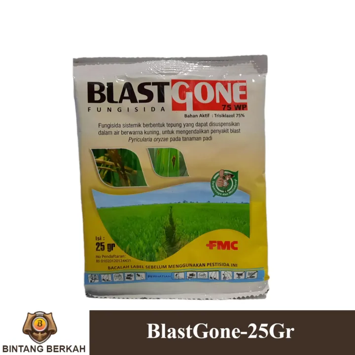 Blastgone Gram Fungisida Blast Daun Padi Pertanian Lazada Indonesia