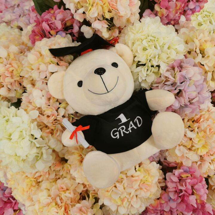 SHIOK 12 Inch Graduation Convo Bear 1 Grad Holding Certificate Soft