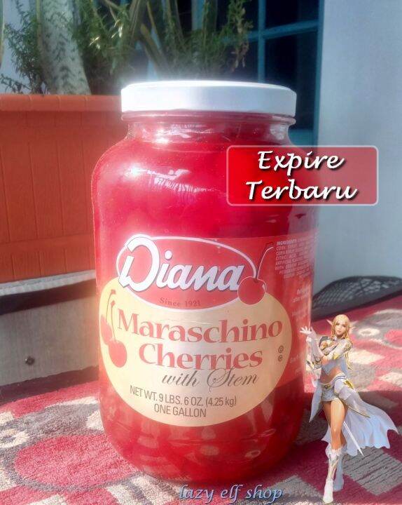 Cherry Merah Tangkai Kg Buah Ceri Batang Maraschino Cherries With