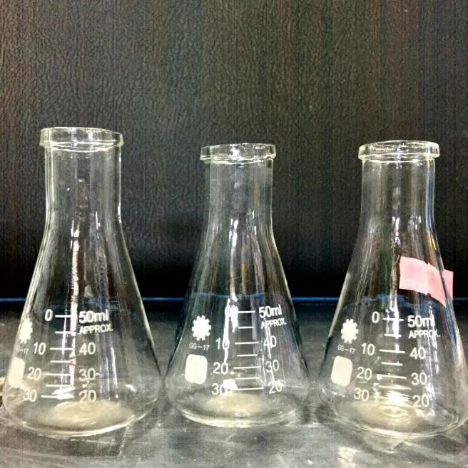 Erlenmyer Flask Ml Glass Lazada Ph