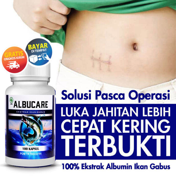 ALBUCARE Ekstrak Albumin Ikan Gabus Solusi Obat Pengering Luka Setelah