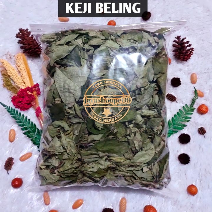 Daun Keji Beling Kering Herbal 500 Gram Daun Pecah Beling Lazada