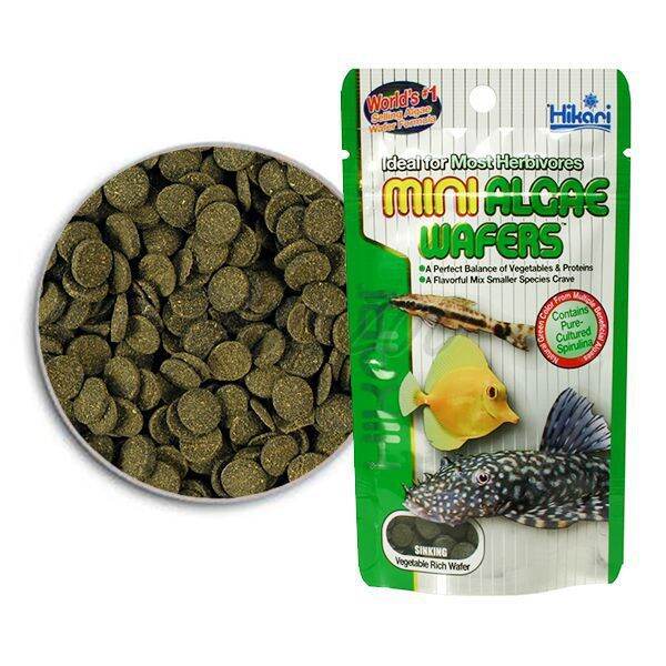 Hikari Mini Algae Wafers G Lazada Ph