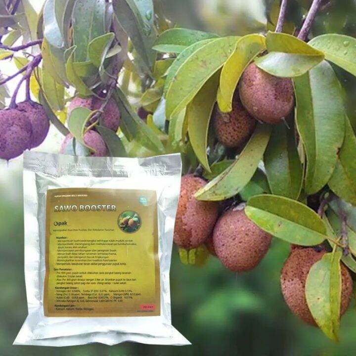 PUPUK ORGANIK BOOSTER SAWO PERANGSANG BUAH SERBUK TERBAIK AMPUH AGAR