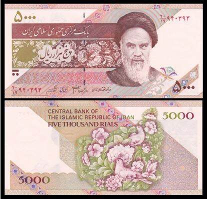 Loh Banknote Iran 5000 Rials 1993 UNC 全新 伊朗 5000里亚尔 纸币 1993年 和平鸽花版