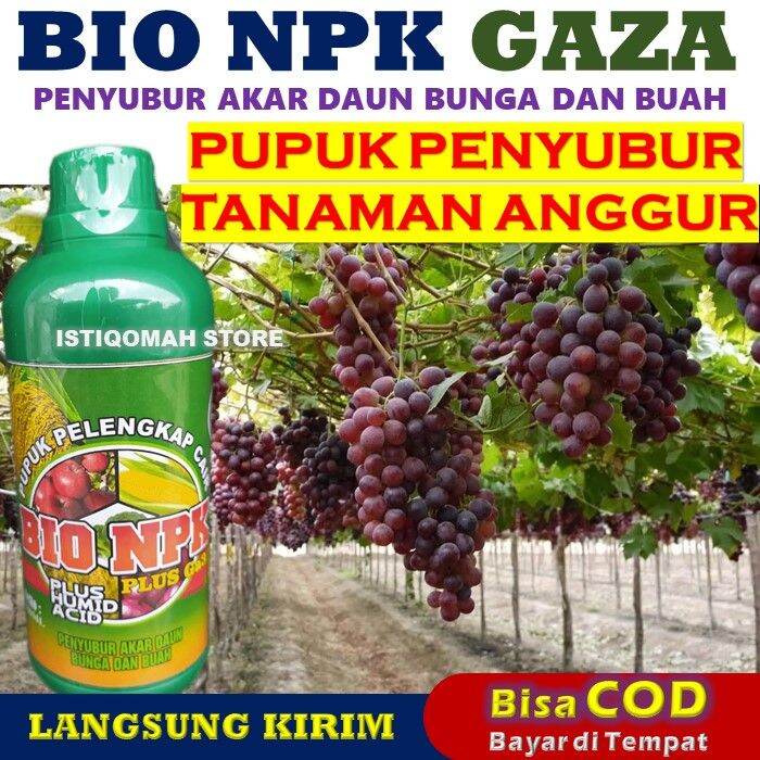 Pupuk Anggur Agar Cepat Berbuah Lebat BIO NPK GAZA 500ML Pupuk NPK Cair