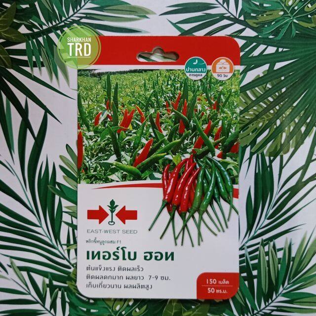 Mini Pack Seeds Biji Turbo Hot F Biji Benih Cili Api Panjang F