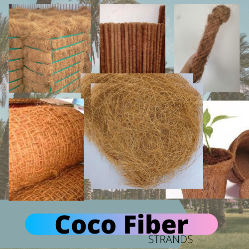 Kilos Coco Fiber For Your Orchids Bromeliads And Other Plants