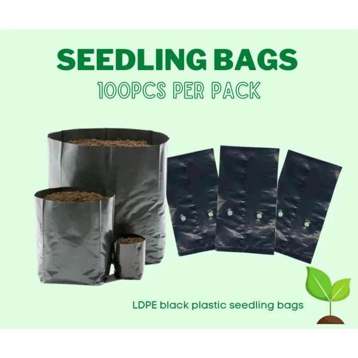 Myce Q Z Seedling Bags For Sale Pcs Pack Black Lazada Ph