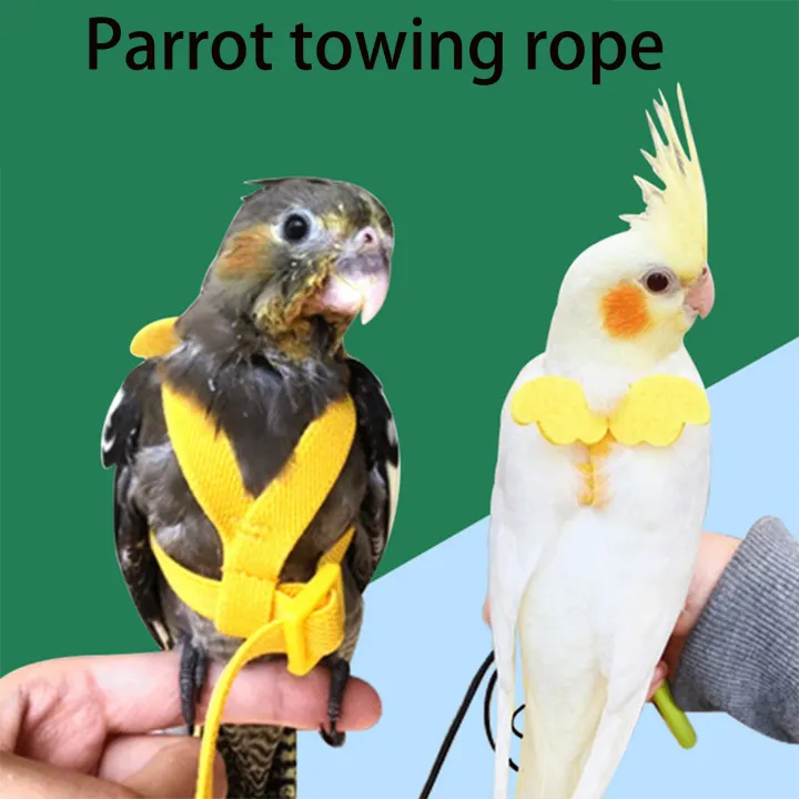 Cbt Budgie Flying Training For Small Medium Birds Rope With Wing Flight