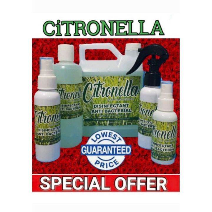 CITRONELLA Best Seller All Purpose Disinfectant Anti Bacterial Room