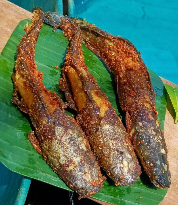 Lele Bumbu Siap Goreng Lazada Indonesia