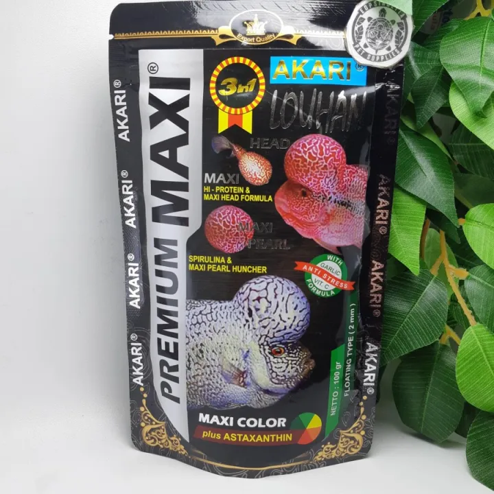 Akari Premium Maxi Louhan Gr Pellet Mm Ikan Louhan Channa Dan