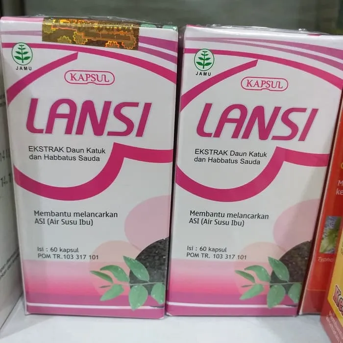 Kapsul Lansi 60 Kapsul Herbal Lancar Asi Lazada Indonesia