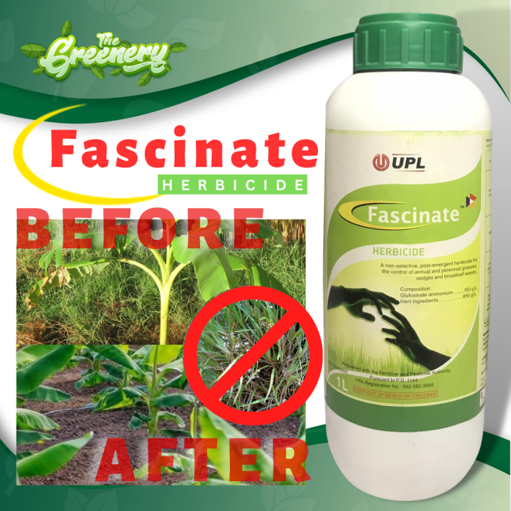 FASCINATE 150SL 1 LITER HERBICIDE BY UPL Lazada PH