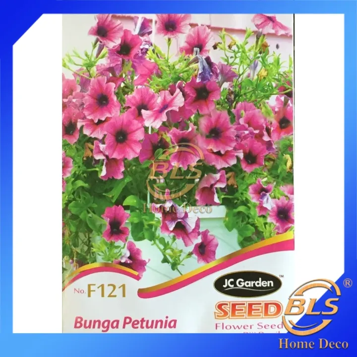 F121 BUNGA PETUNIA JC GARDEN SEED FLOWER SEED BIJI BENIH 矮牵牛花种子 Lazada