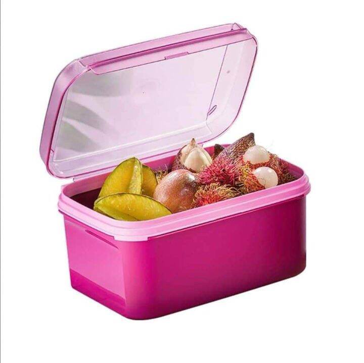 Tupperware Ezy Rectangular Keeper L Lazada