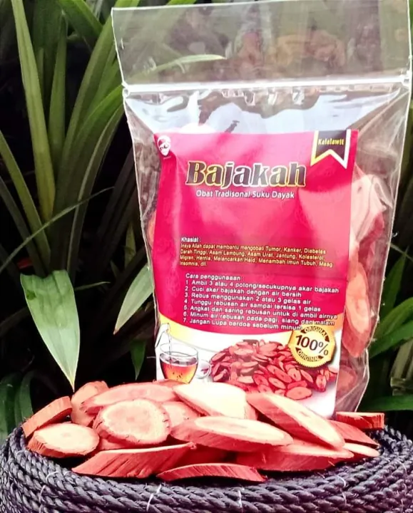 Akar Kayu Bajakah Asli Kalimantan Teh Herbal Bajakah Lazada Indonesia