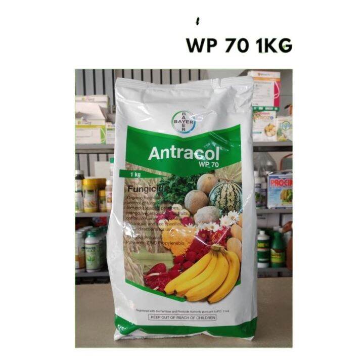 Bayer ANTRACOL WP 70 1KG Lazada PH