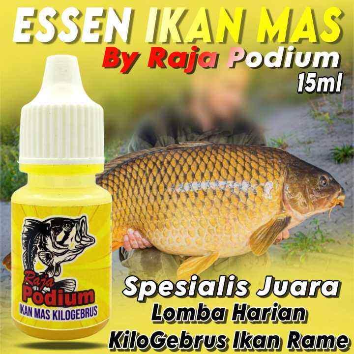 Essen Khusus Ikan Mas Spesialis Babon Rame Paling Gacor Aroma Amis