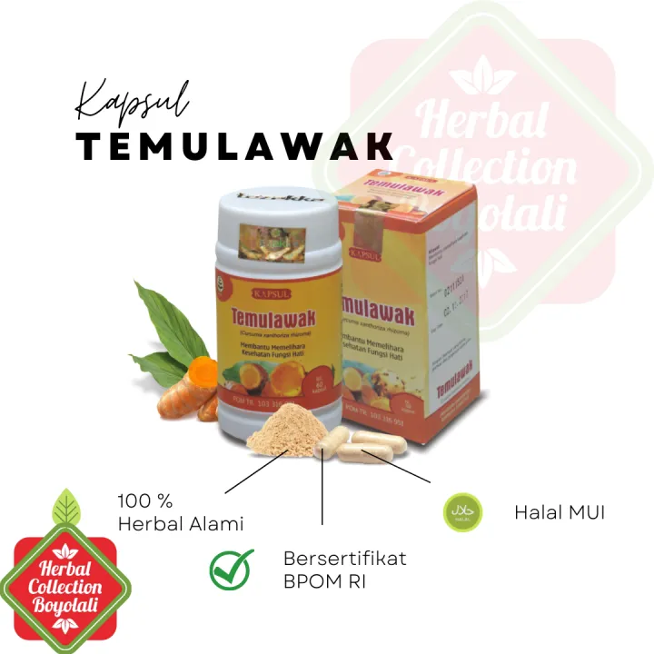 Tazakka Kapsul Temulawak Original Bpom Isi Capsule Curcuma Obat Gerd