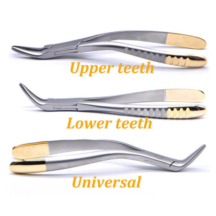 Dental Root Fragment Minimally Invasive Tooth Extraction Forcep Tooth