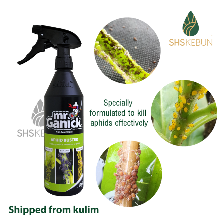 Aphid Buster Organic Pesticide Baba Mr Ganick Aphids Spray Aphids