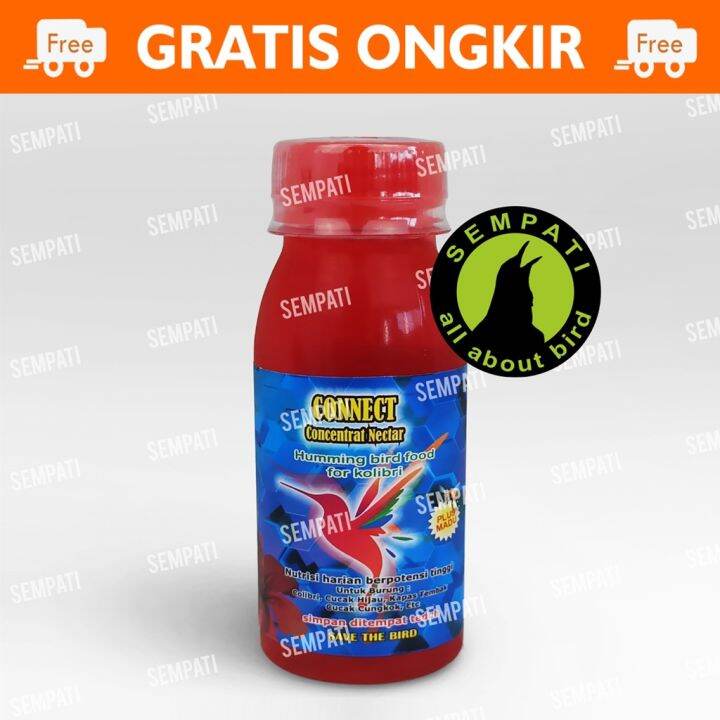 Connect Concentrat Nectar Nektar Colibri Pakan Makanan Minuman Harian