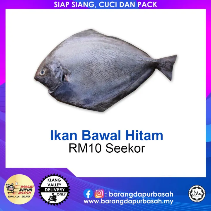 Klang Valley Only Ikan Bawal Hitam Seekor Lazada