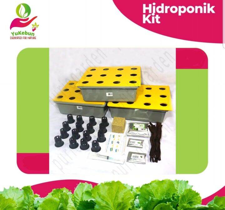 Paket Hidroponik Pemula Lengkap Starter Kit Komplit Paket Hidroponik