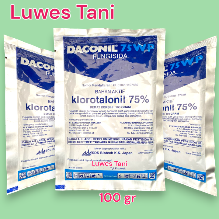 FUNGISIDA DACONIL 75 WP 100 GRAM Lazada Indonesia