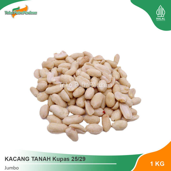 KACANG TANAH Kupas 25 29 Jumbo Kg Lazada Indonesia