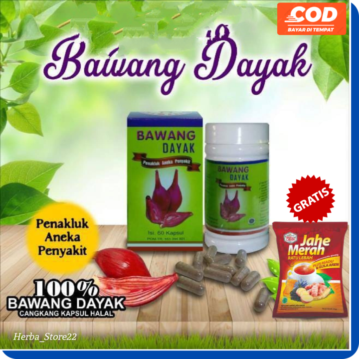 Kapsul Bawang Dayak Ekstrak Taman Herbal Kemasan Hijau Kapsul