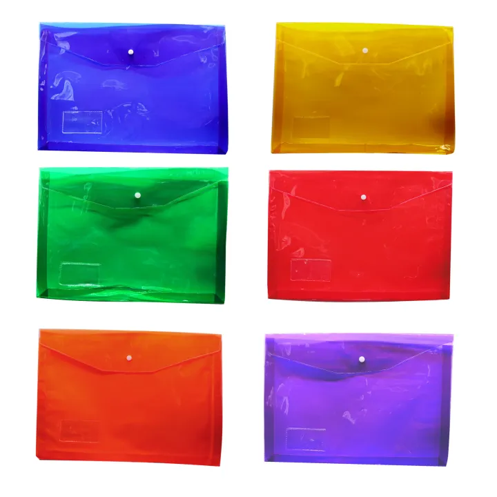 Sanelnet 12 Pcs Plastic Envelope Colored Transparent EXPANDED GAUGE 10