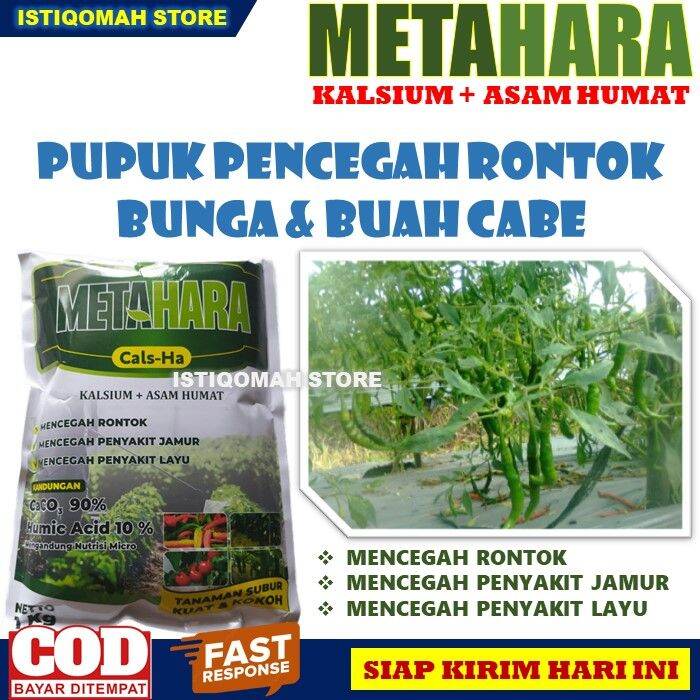 Pupuk Kalsium Asam Humat METAHARA 1 KG Pupuk Cabe Anti Rontok Bunga