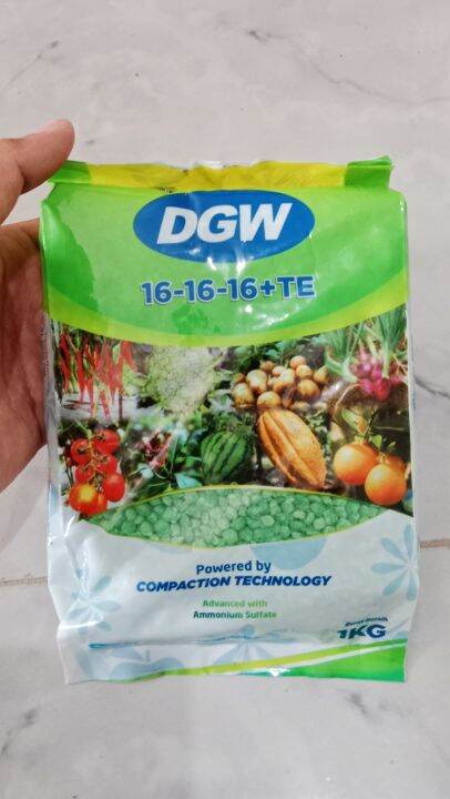 Pupuk NPK 16 16 16 TE DGW Kemasan Pabrik 1 Kg Lazada Indonesia