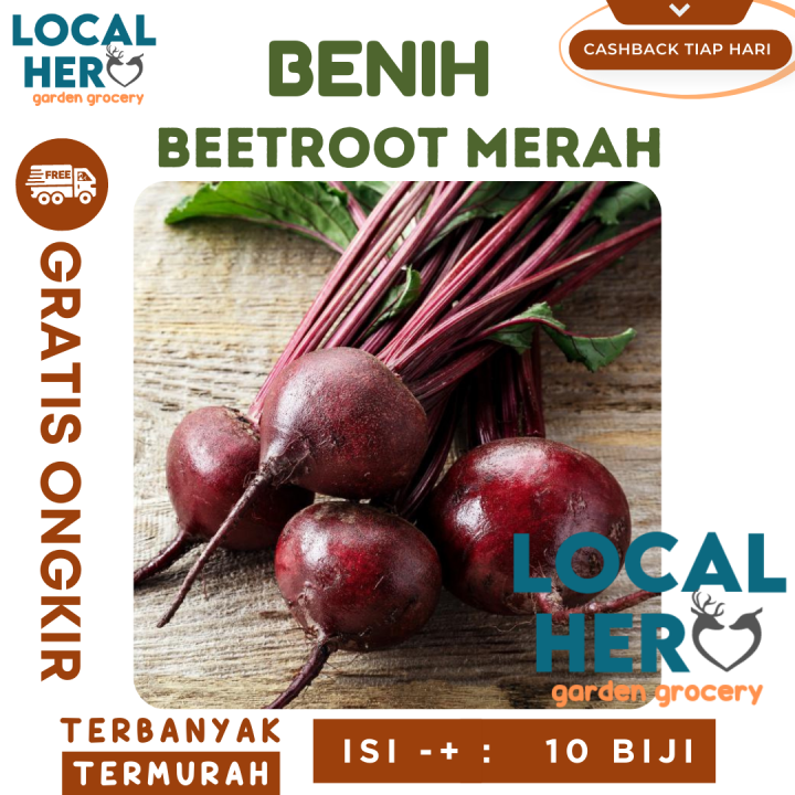 Bibit Beetroot Merah F Hibrida Super Benih Tanaman Buah Beet Unggul