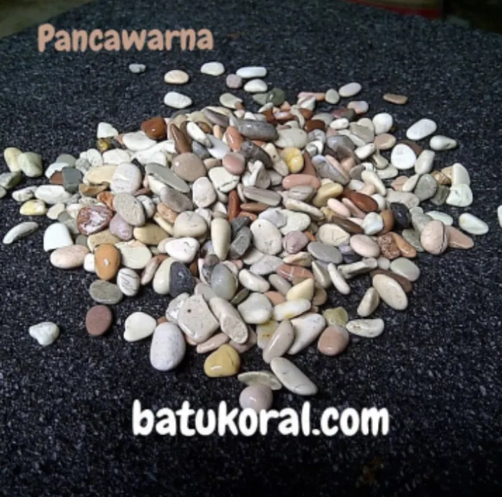 Promo Kg Batu Koral Panca Warna Batu Ampar Panca Warna Batu Koral