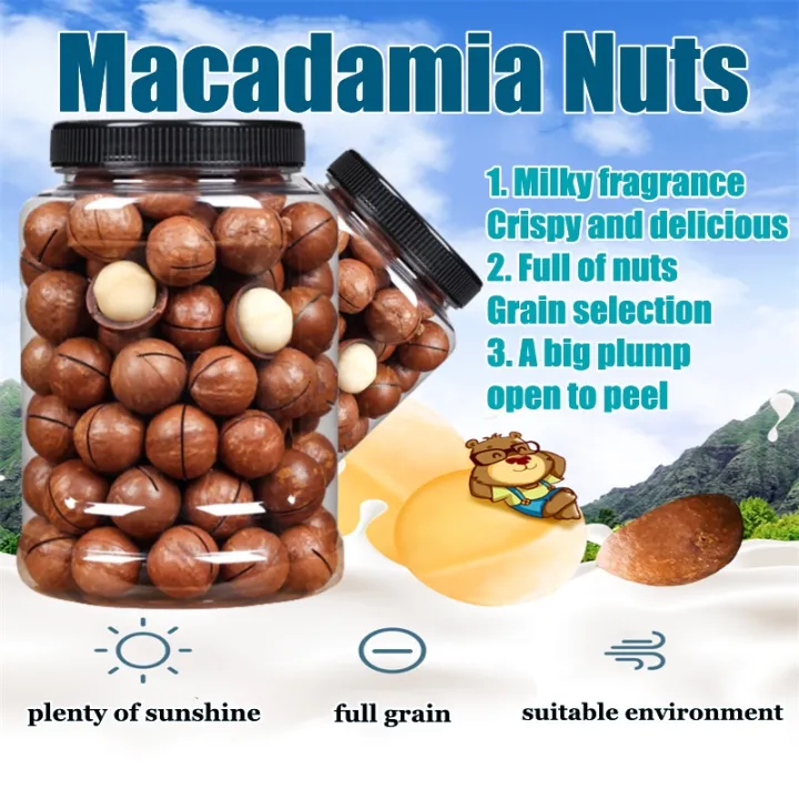 Healthy Instant Daily Nuts Creamy Nuts Macadamia Nuts Mixed Nuts Mixed