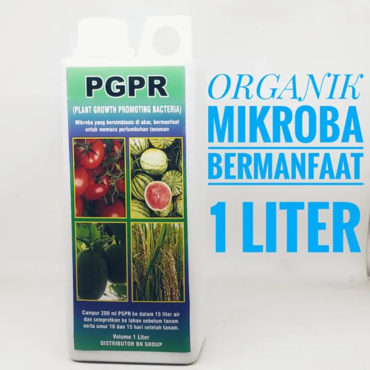 Pgpr Cair Liter Pupuk Organik Cair Pembenah Tanah Lazada Indonesia