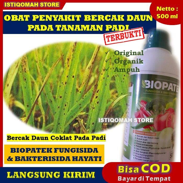 BIOPATEK 500ml Obat Hama Penyakit Bercak Daun Coklat Pada Tanaman Padi